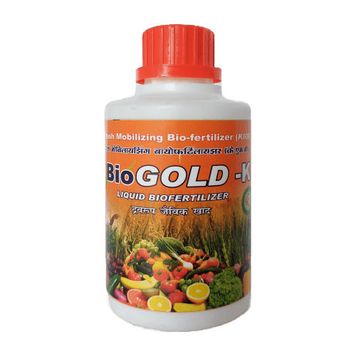 Biogold Potash Mobilizing Bacteria Bio Fertilizer