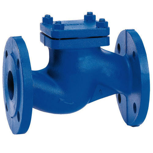 Non Return Valve Manufacturer in Kalol