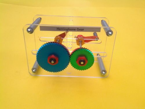 Herring Bone Gear For Engineering Lab / School Lab Model