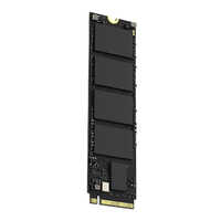 E3000 Dram-Less PCIe SSD