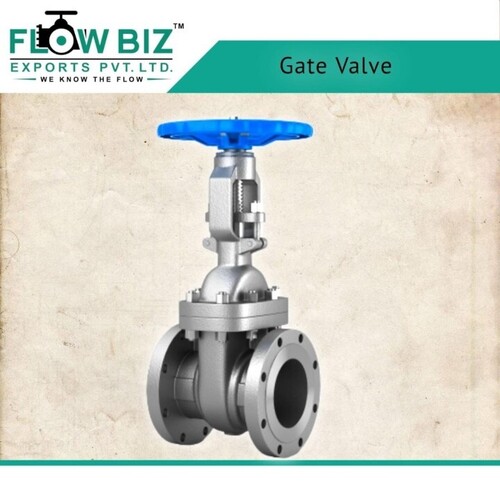 Industrial Cast Steel Gate Valve Manufacturer in Mandvi