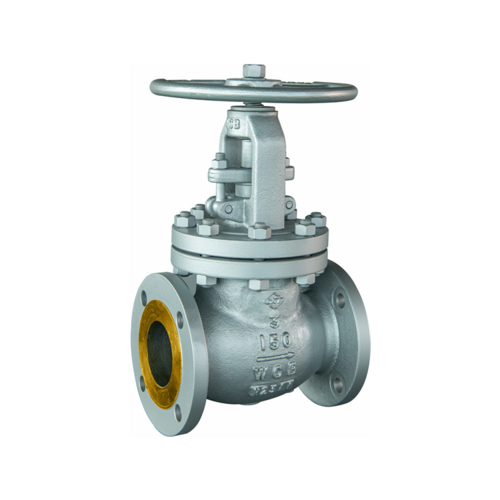Globe Valve Manufacturer in Mandvi Gujarat