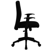 Nilkamal Optima Mid Back Chair