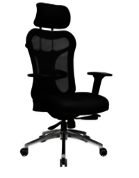 Office Chair with Headrest