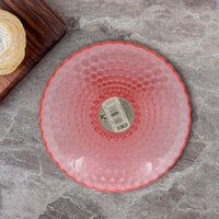 ROUND PLASTIC DINNER PLATE