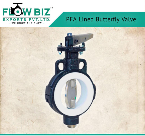 PTFE Lined Valve Manufacturer in Mandvi