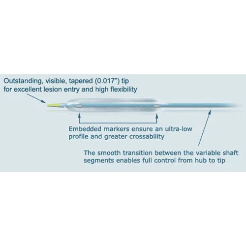 Mercury PTCA Catheter