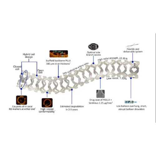 Vascular Scaffold System