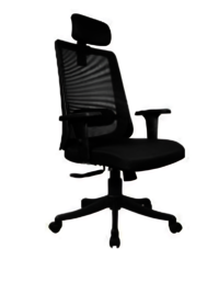 Office Chair with Headrest