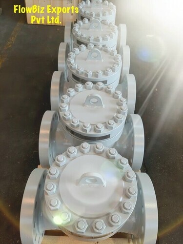 Dual Plate Non Return Valve Manufacturer in Dholka