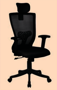 Office Chair with Headrest