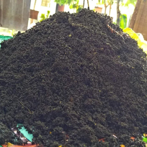 Organic Vermicompost Fertilizer Powder