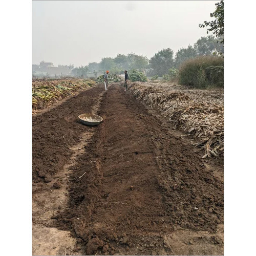 Brown Vermicompost Fertilizer
