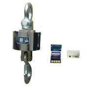 10 Ton x 2 Kg Wireless Crane Scale