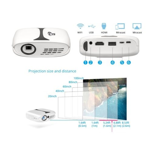 TS-PICO Projector