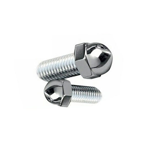 Stainless Steel Dome Bolt