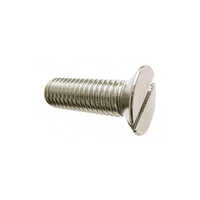 SS CSK Screw