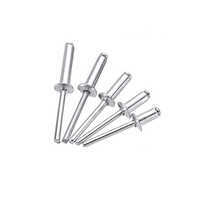 Stainless Steel Blind Rivet