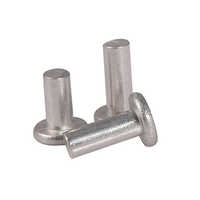 STAINLESS STEEL FLAT HEAD RIVET