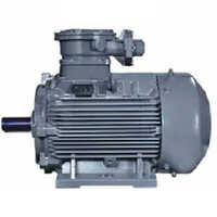 Flameproof  Motor