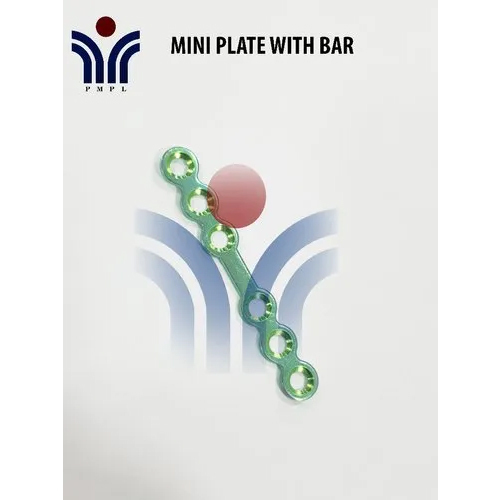 Mini Plate With Bar