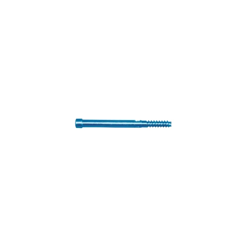 6.4mm PFN Leg Screw