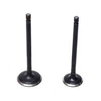 Bajaj Compact Engine Valve - Color: Black