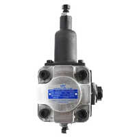 Gray Rv20-sf-17-d-10 Variable Vane Pump