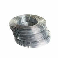 Inconel Wire - Inconel 600 Alloy Wire, Astm B166, Diameter: 10-100 Mm, Length: 100-6000 Mm | High-temperature Resistance, Flexible, Round Shape