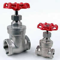 Stainless Steel Gate Valves