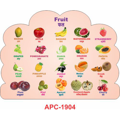 Education Cut out APC-1904