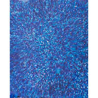 Recycled Plastic Sheets