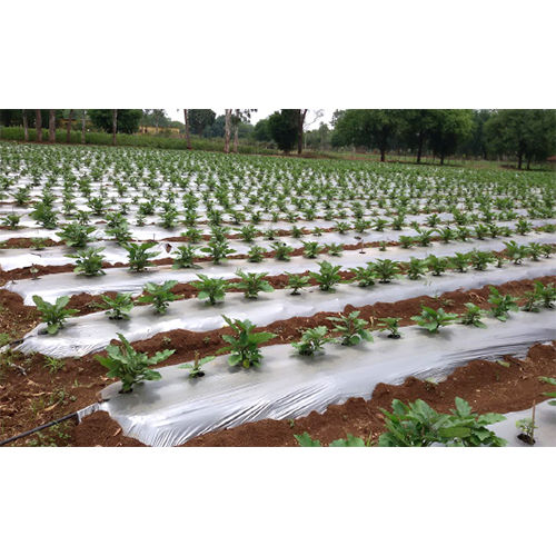 Agriculture Mulch Film