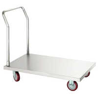 Strong Ss Platform Trolley