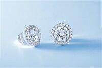 Diamond Studded Earrings - Diamond Carat Weight: 0.50 Ct (total)