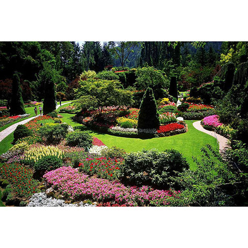 Landscape Garden Designing Services