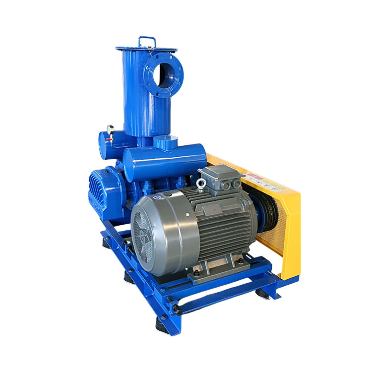 HDSR-V Vacuum Pump