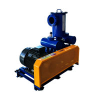 HDSR-V Vacuum Pump