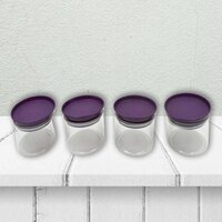 AIRTIGHT PLASTIC 4 PC STORAGE CONTAINER SET