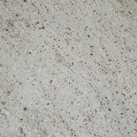 Amba White Granite Application: Commercial