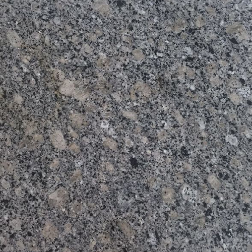 Dungri Grey Granite