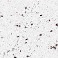 River White Granite - Slabs, Polished Finish With Customizable Size And Color Options For Commercial Use
