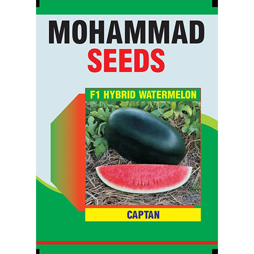 Common Watermelon Seeds ( Captan F1 Hybrid )