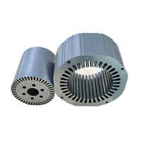 Electrical Stator Stamping