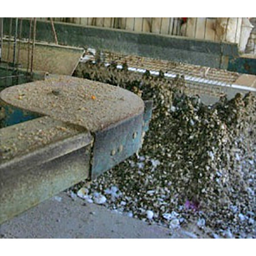 Chicken Manure Application: Organic Fertilizer