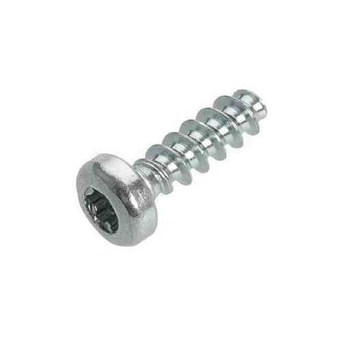 Silver Torx Head Screw