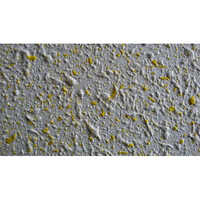 Prateek Spray Coat Wall Texture