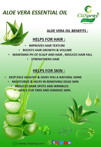 Aloe Vera Essential Oil