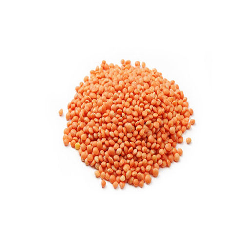 Organic Masoor Dal