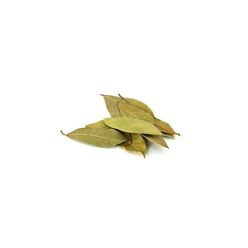 Green Bay Leaf